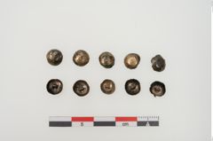 Foto von Bronzeknopf (NHMW-PRAE-025296)